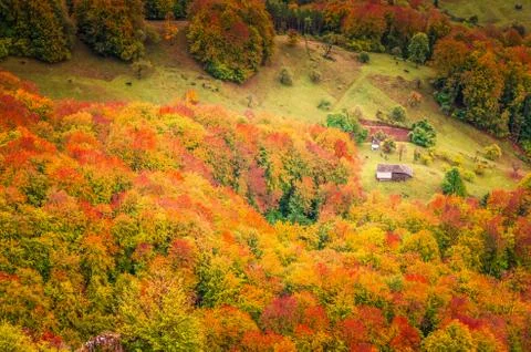 Fall landscape in the mountains Stock Photos