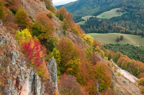 Fall landscape in the mountains Stock Photos
