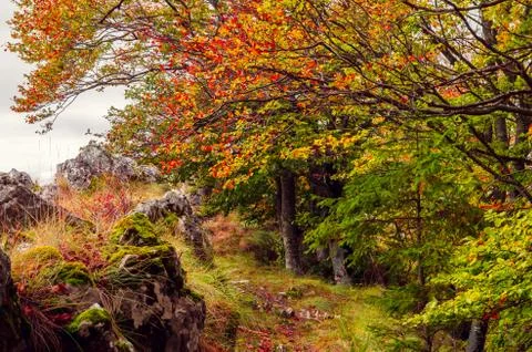 Fall landscape in the mountains Stock Photos
