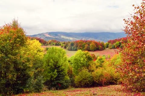 Fall landscape in the mountains Stock Photos