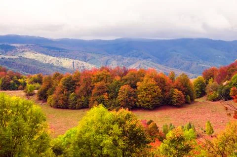 Fall landscape in the mountains Stock Photos
