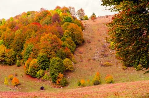 Fall landscape in the mountains Stock Photos