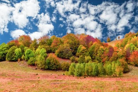 Fall landscape in the mountains Stock Photos