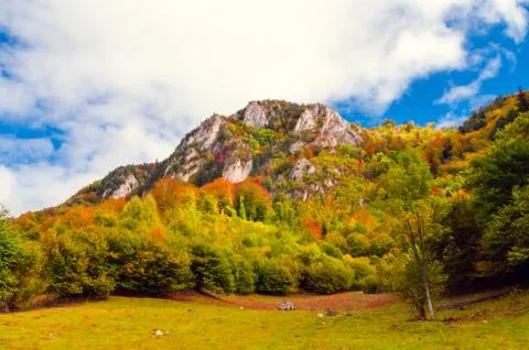 Fall landscape in the mountains Stock-Fotos