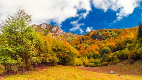 Fall landscape in the mountains Stock Photos