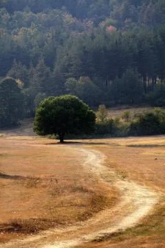 Fall landscape 스톡 사진