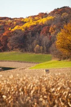Fall Landscape Stock Photos