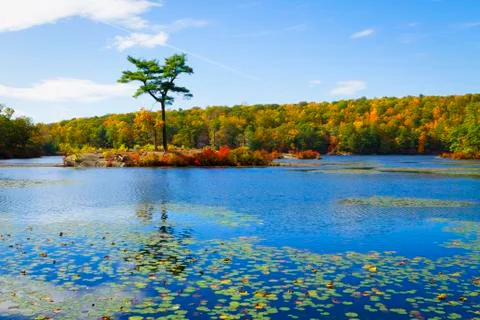 Fall landscape Stock Photos