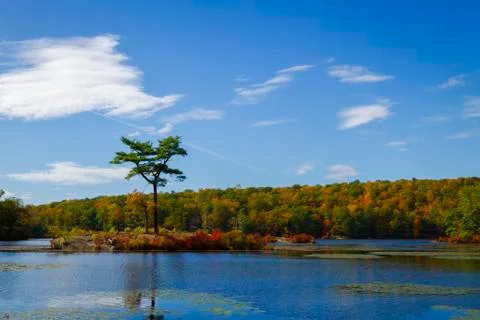 Fall landscape Stock Photos