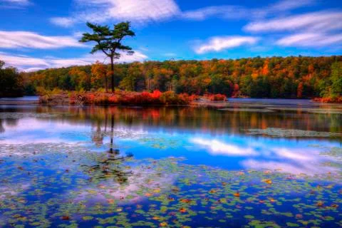 Fall landscape Stock Photos