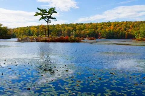 Fall landscape Stock Photos