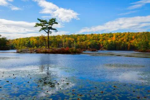 Fall landscape Stock Photos