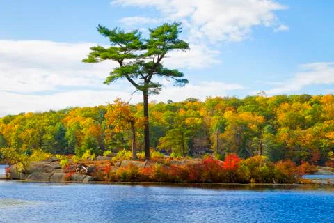 Fall landscape Foto stock