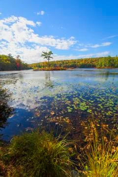 Fall landscape Stock Photos
