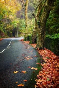 Fall Landscape Stock Photos