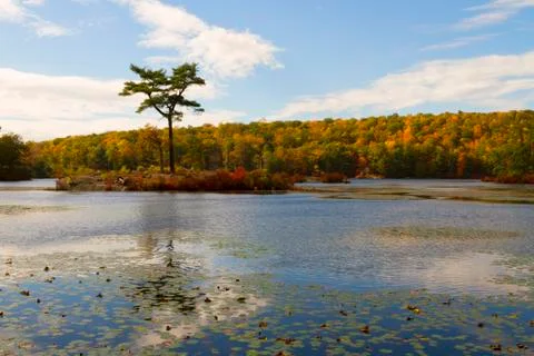Fall landscape Stock Photos