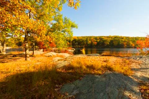 Fall landscape Stock Photos