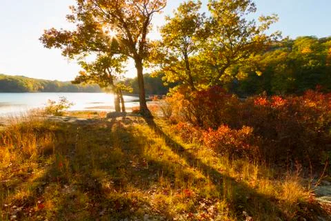 Fall landscape Stock Photos