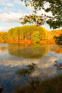 Fall landscape Stock Photos