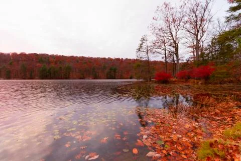 Fall landscape Stock Photos