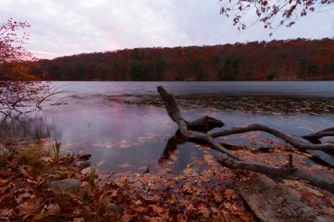 Fall landscape Stock Photos