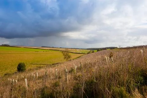 Fall landscape Stock Photos