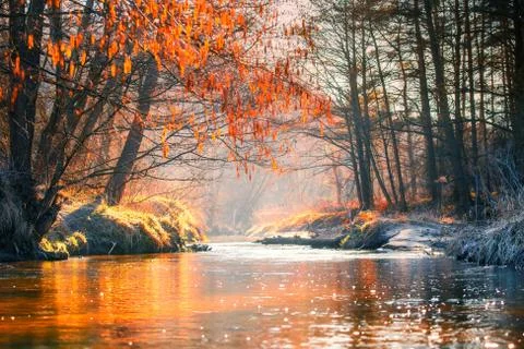 Fall landscape Foto stock