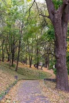 Fall landscape with walking path in a serene park setting Stock Photos