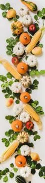 Fall layout with pumpkins, fruits, corn and leaves, vertical composition Stock Photos