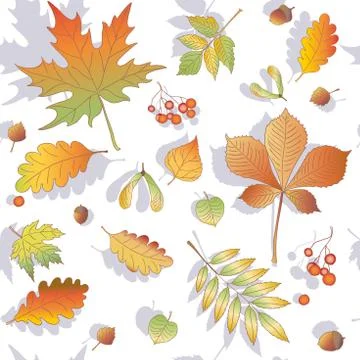 Fall leaf, autumn pattern イラスト素材