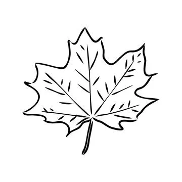 Fall leaf clipart, black and white leaf drawing, vector clipart Stock Illustration