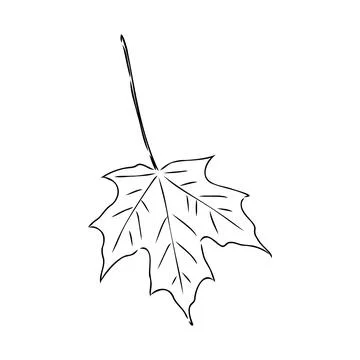 Fall leaf clipart, black and white leaf drawing, vector clipart Illustrazione stock