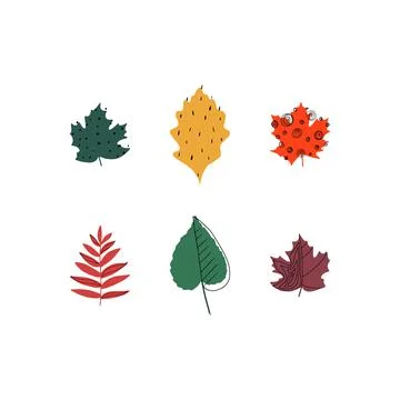 Fall leaf icon vector illustration. Hand drawn colorful design. Isolated graphic イラスト素材