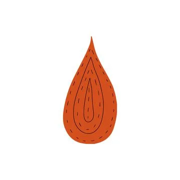 Fall leaf icon vector illustration. Hand drawn colorful design. Isolated graphic Stock Illustration