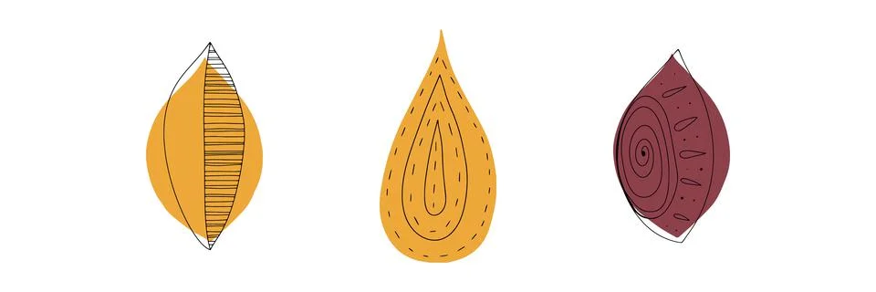 Fall leaf icon vector illustration. Hand drawn colorful design. Isolated graphic Stock Illustration