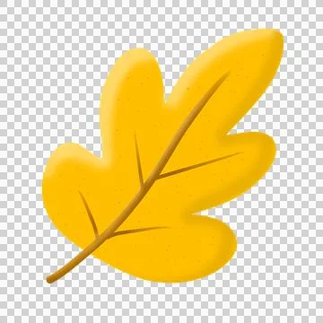 Fall leaf Stock Illustration