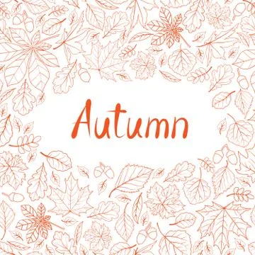 Fall leaf nature pattern. Autumn leaves background. Stock Illustration