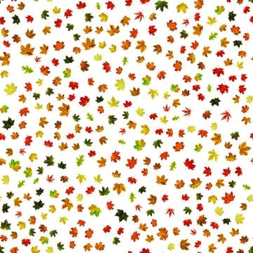 Fall leaf seamless pattern. Season leaves fall background. Autumn yellow red, Stock Photos