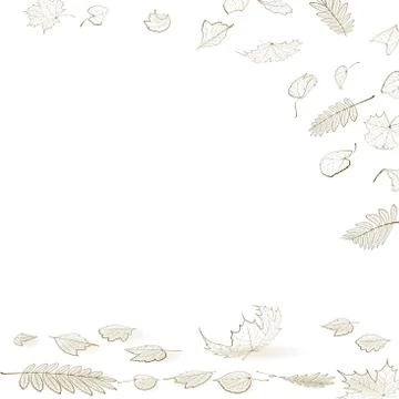 Fall leaf skeletons autumn design template. Stock Illustration
