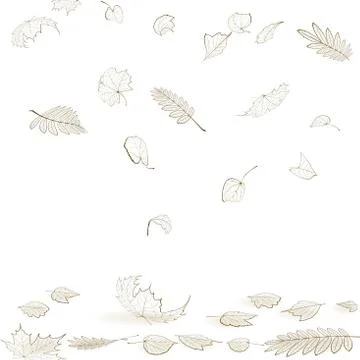 Fall leaf skeletons autumn design template. Stock Illustration