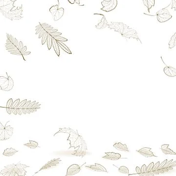 Fall leaf skeletons autumn design template. Stock Illustration