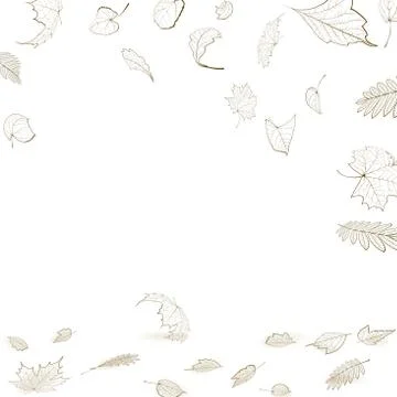 Fall leaf skeletons autumn design template. Stock Illustration