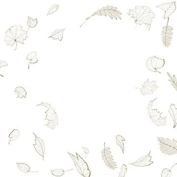 Fall leaf skeletons autumn design template. Stock-Illustration
