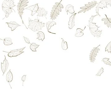 Fall leaf skeletons autumn design template. Stock Illustration