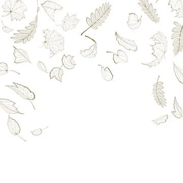 Fall leaf skeletons autumn design template. Stock Illustration