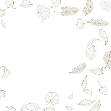 Fall leaf skeletons autumn design template. Stock Illustration