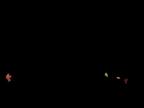 Fall Leaves 1 Stock Footage 8687756