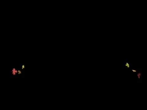 Fall Leaves 2 Stock Footage 8687815