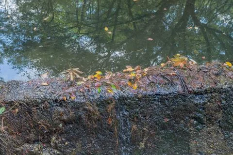 Fall leaves accumulating on edge of spillway Foto stock
