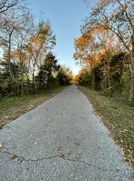 Fall Leaves Along Path  Stock Photos